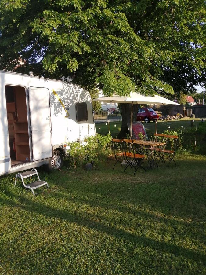 "Campingplatz Altjessen 57" Pirna Esterno foto
